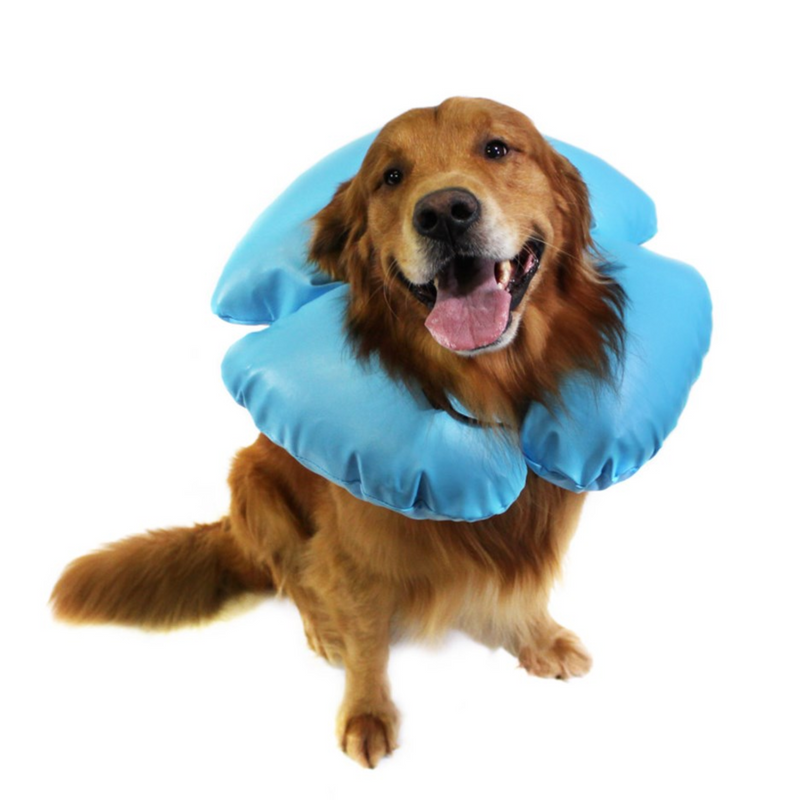 VetOne Air-O Inflatable Collar on a dog