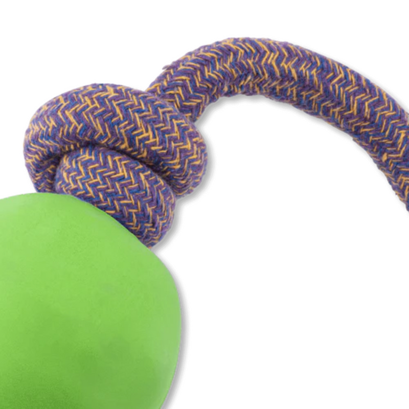 Beco Natural Rubber Ball on Rope Dog Toy Small - Green
