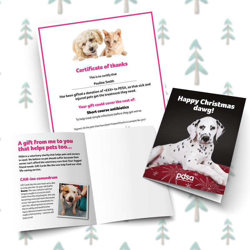 Happy Christmas Dawg Card and Certificate