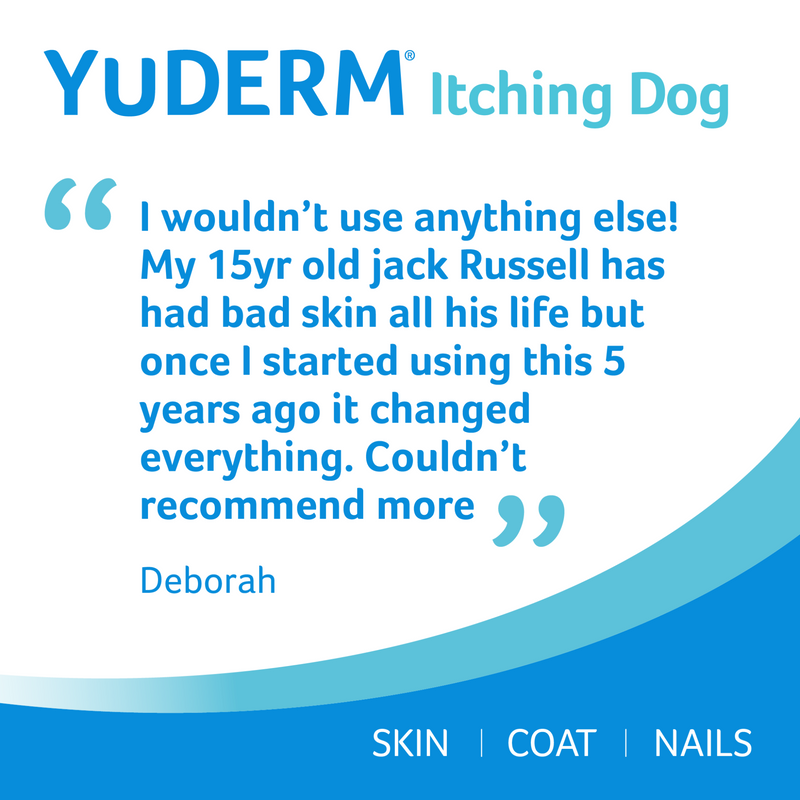 YuDerm Itchy Dog