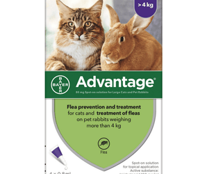 Advantage 80