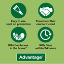 Advantage 80 benefits