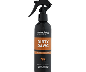 Animology Dirty Dawg No Rinse Dog Shampoo - PDSA Pet Store