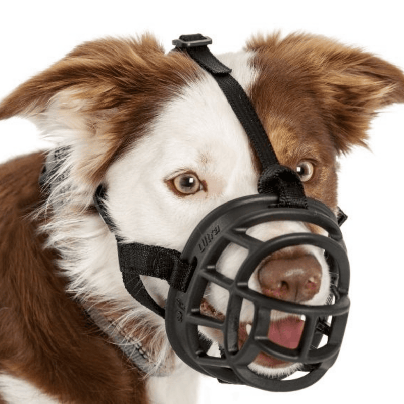 Baskerville Ultra Muzzle