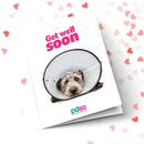 Get Well Soon Dog In Cone Front Cover