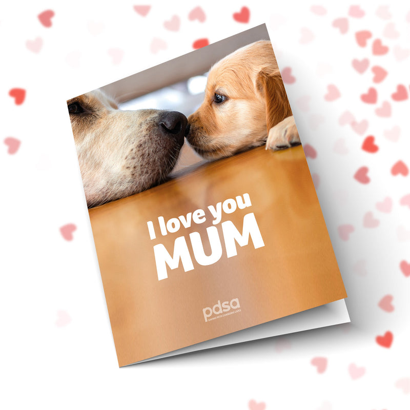 I Love You Mum Front