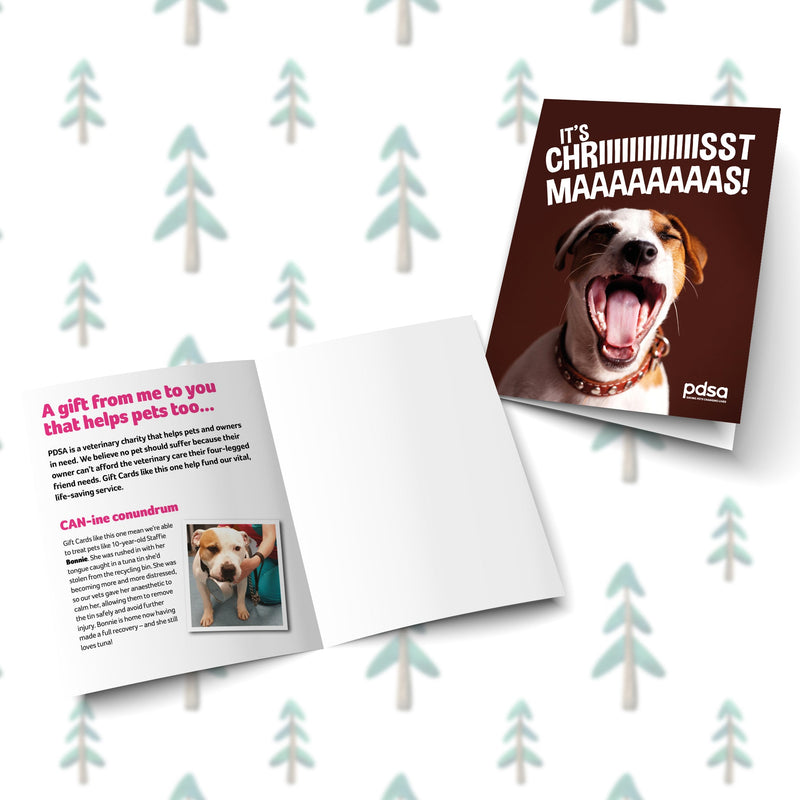 It’s Christmas!! Card Open
