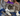 Kong Cat Zoom Groom