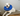 White dog with blue recovery cone