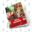 Merry Christmas Front