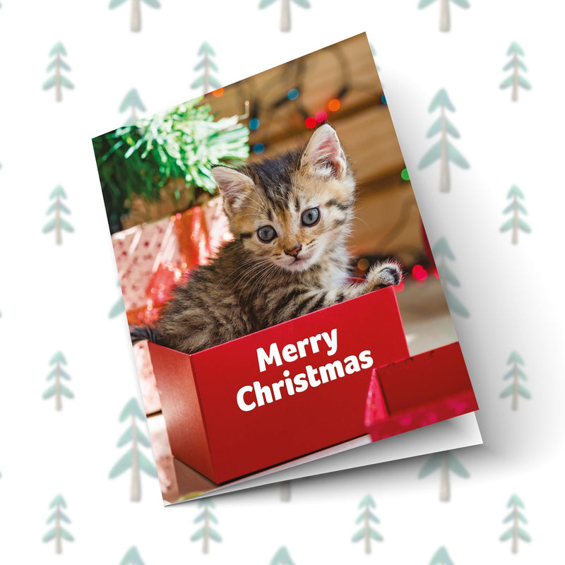 Merry Christmas Front