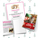 Merry Christmas card and certificate