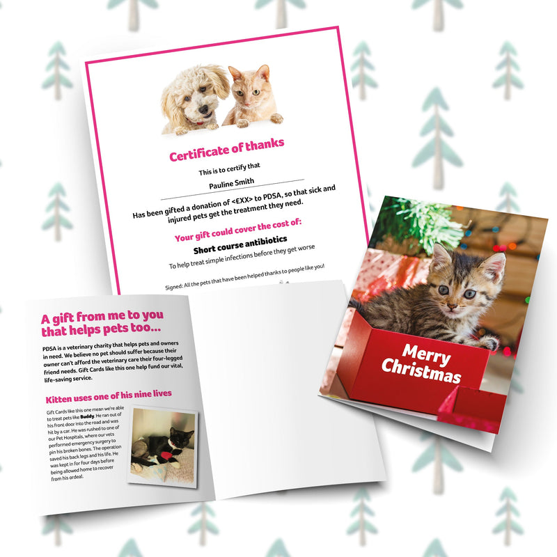 Merry Christmas card and certificate