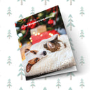 Not a creature was stirring Front