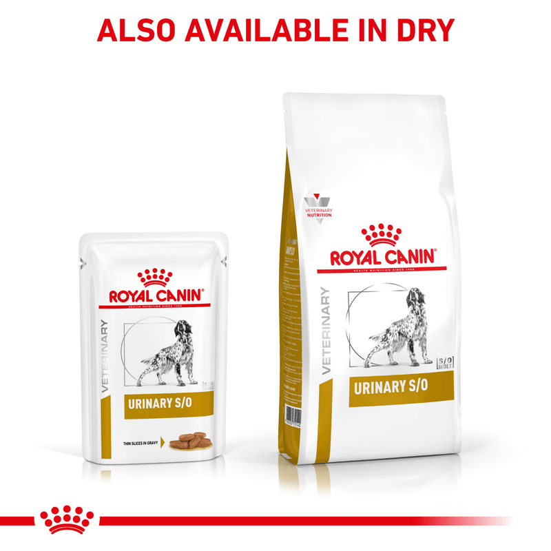 Dry Dog Royal Canin Urinary So Dog Treats Buy Royal Canin