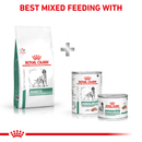 ROYAL CANIN® Diabetic Adult Dry Dog Food