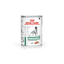 ROYAL CANIN® Diabetic Special Adult Wet Dog Food
