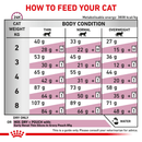 ROYAL CANIN® Early Renal Adult Dry Cat Food