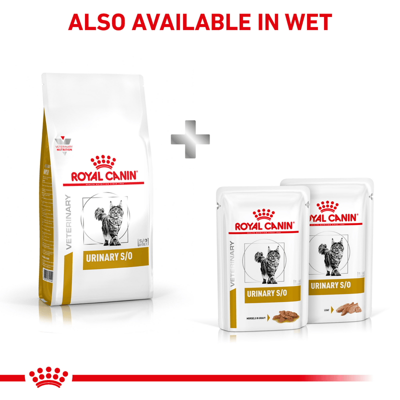 ROYAL CANIN® Feline Urinary S/O Adult Dry Cat Food