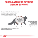 ROYAL CANIN® Gastrointestinal Adult Dry Cat Food