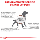 ROYAL CANIN® Gastrointestinal Adult Dry Dog Food