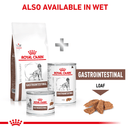 ROYAL CANIN® Gastrointestinal Adult Dry Dog Food