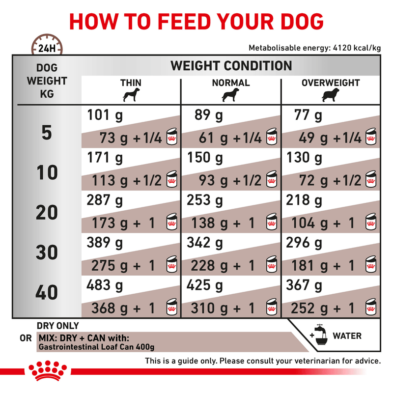 ROYAL CANIN® Gastrointestinal Adult Dry Dog Food