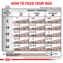 ROYAL CANIN® Gastrointestinal Adult Wet Dog Food