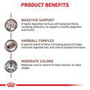 ROYAL CANIN® Gastrointestinal Kitten Dry Cat Food