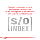 ROYAL CANIN® Gastrointestinal Kitten Dry Cat Food