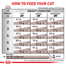 ROYAL CANIN® Gastrointestinal Moderate Calorie Adult Dry Cat Food