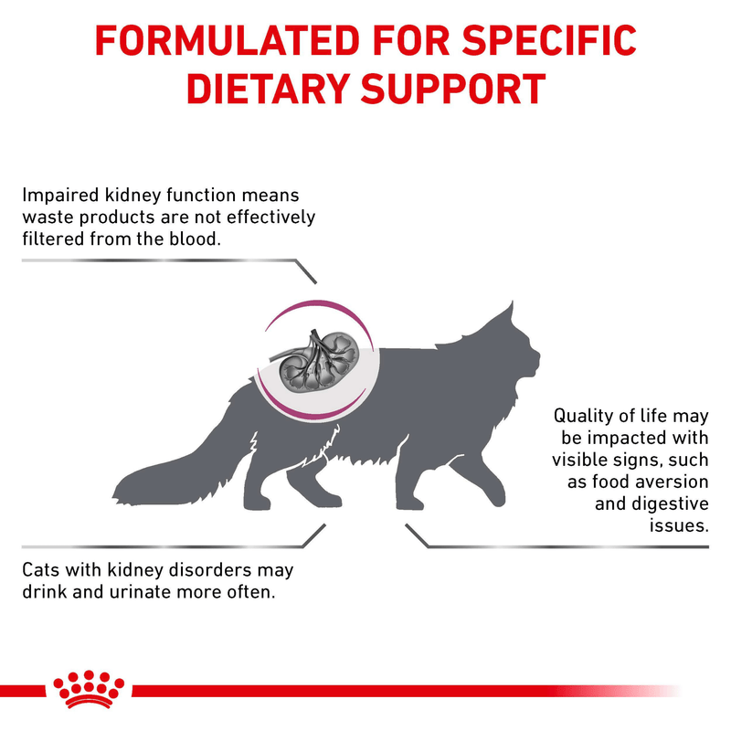 Does Dry Cat Food Cause Kidney Disease? Truth Revealed!