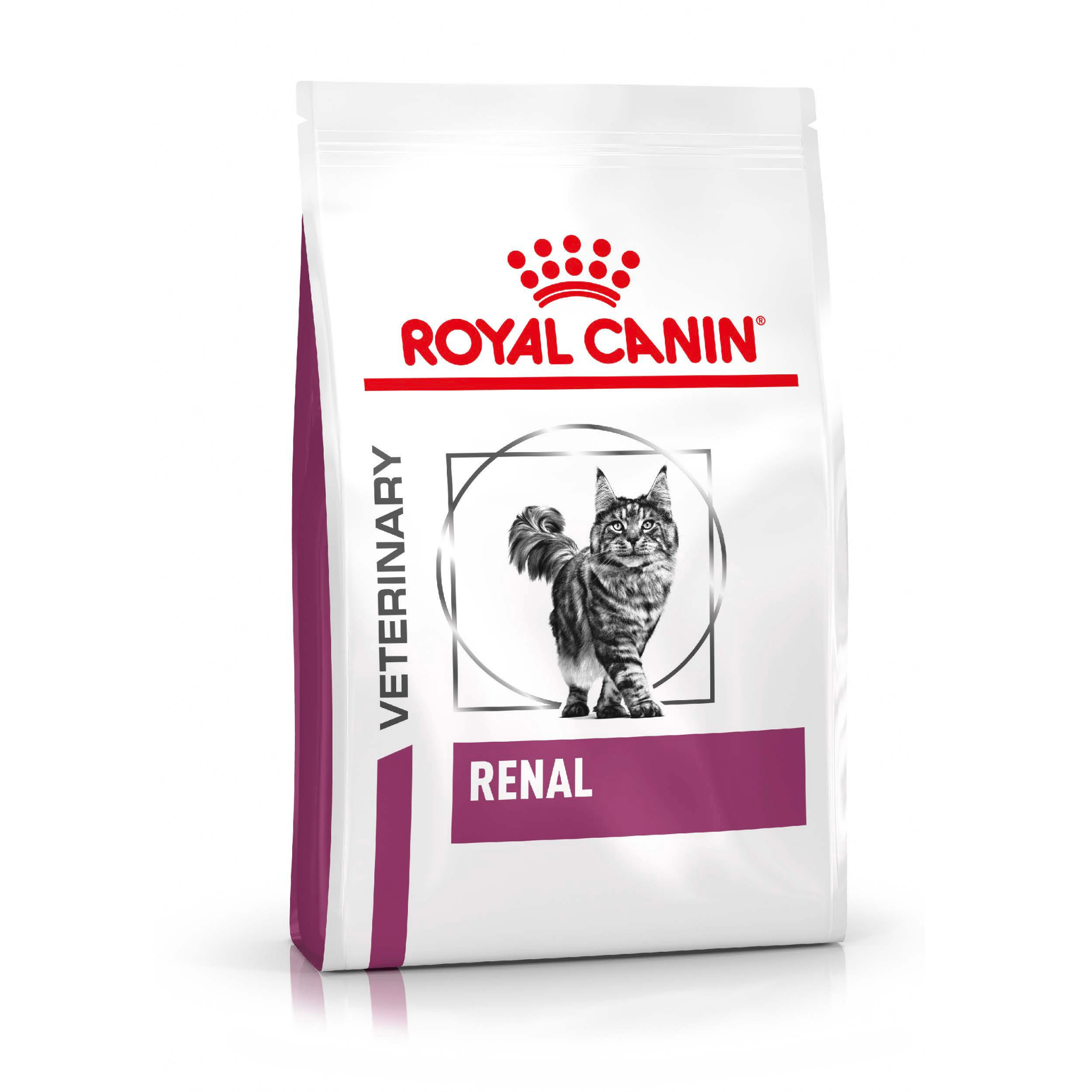 Cat Food Royal Canin Renal: Optimal Health for Felines