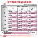 ROYAL CANIN® Renal Adult Dry Dog Food
