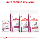 ROYAL CANIN® Renal Adult Wet Dog Food