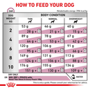ROYAL CANIN® Renal Small Dogs Adult Dry Dog Food