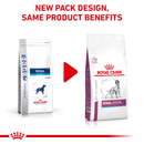 ROYAL CANIN® Renal Special Adult Dry Dog Food