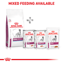 ROYAL CANIN® Renal Special Adult Dry Dog Food