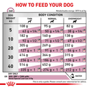 ROYAL CANIN® Renal Special Adult Dry Dog Food