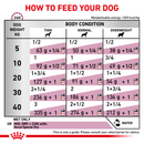 ROYAL CANIN® Renal Special Adult Wet Dog Food