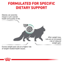 ROYAL CANIN® Satiety Adult Dry Cat Food