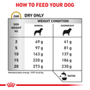 ROYAL CANIN® Urinary S/O Moderate Calorie Adult Dry Dog Food