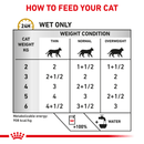 ROYAL CANIN® Urinary S/O Morsels in Gravy Adult Wet Cat Food