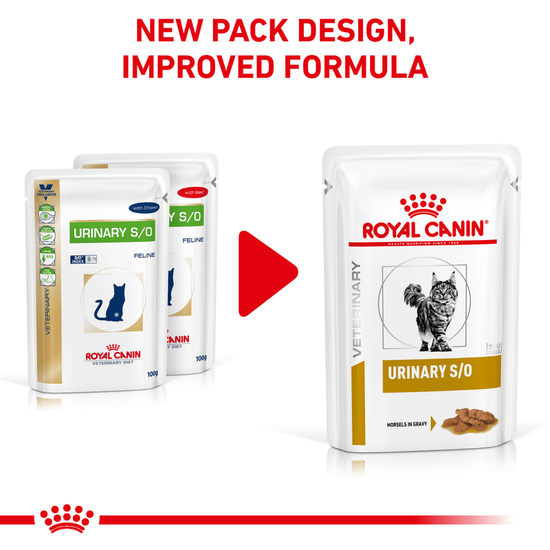 ROYAL CANIN® Urinary S/O Morsels in Gravy Adult Wet Cat Food