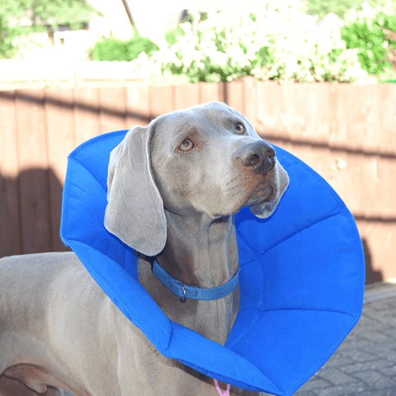 Elizabethan Collar Foam Dog Collars Soft-E Smart Cone/ Collar