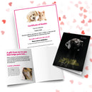 You Are My Father  card and certificate