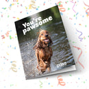 You're Pawsome Front