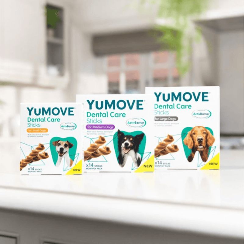 YuMove dental care full range